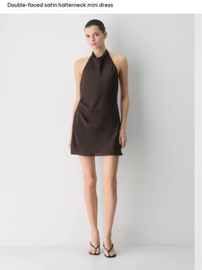 Aritzia Audience Mini Dress in Brown Taupe